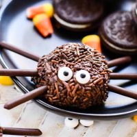 Make these Easy Halloween Spider Cookies with the kids for a fun family activity. They're a yummy, no-bake treat made with Oreos, chocolate frosting, and sprinkles.